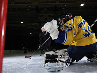 Image showing ice hockey goalkeeper