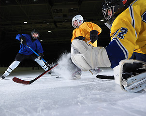 Image showing ice hockey goalkeeper