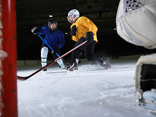 Image showing ice hockey goalkeeper