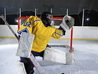 Image showing ice hockey goalkeeper