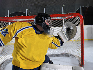 Image showing ice hockey goalkeeper