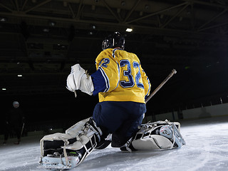 Image showing ice hockey goalkeeper