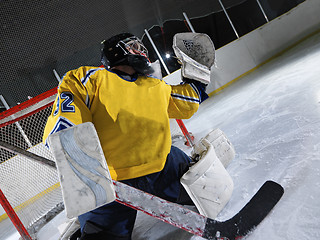 Image showing ice hockey goalkeeper