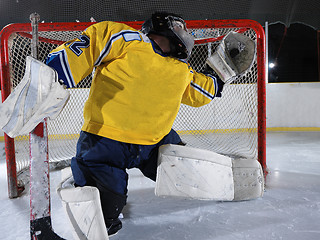 Image showing ice hockey goalkeeper