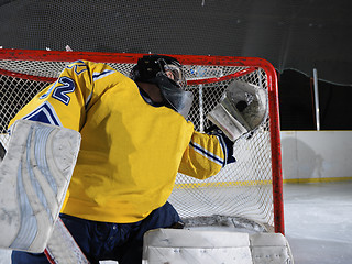 Image showing ice hockey goalkeeper