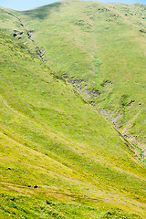 Image showing Hiking in Georgia Mountain