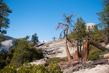 Image showing Hiking panaramic train in Yosemite