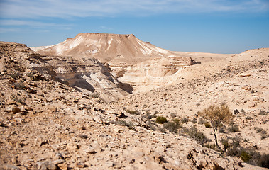 Image showing Travel in Negev desert, Israel