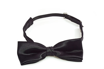 Image showing Bow Tie