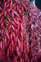 Image showing Rows of red hot pepper ready for sale