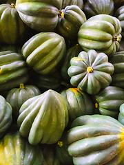 Image showing Green Acorn squashes