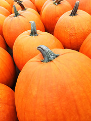 Image showing Big orange pumpkins at the marketplace