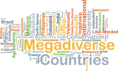 Image showing Megadiverse countries background concept