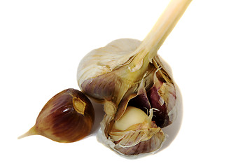 Image showing  white garlic