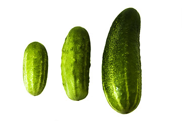 Image showing Green cucumbers 