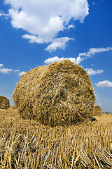 Image showing straw stack 