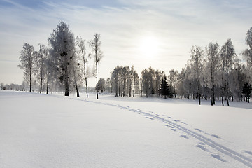Image showing winter park  