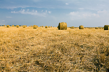 Image showing straw stack  