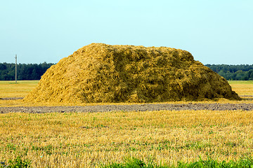 Image showing  straw stack  