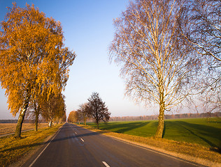 Image showing  road autumn
