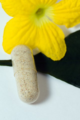 Image showing medicinal pill yellow flower