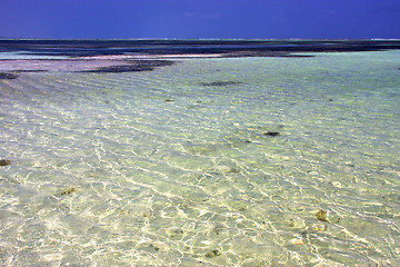 Image showing africa coastline froth foam  in the   relax  of zanzibar 