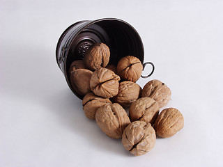 Image showing Walnut Escape