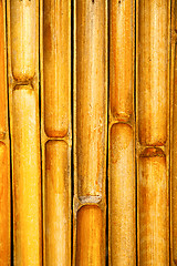 Image showing thailand abstract cross bamboo in the temple kho phangan  