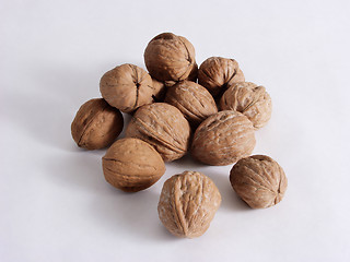 Image showing Walnuts Free