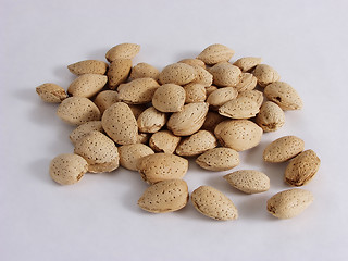 Image showing Almonds Free