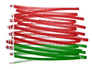 Image showing Flag illustration - Belarus