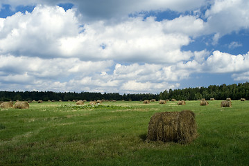 Image showing Stacks Hay