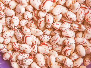 Image showing Retro looking Cranberry beans