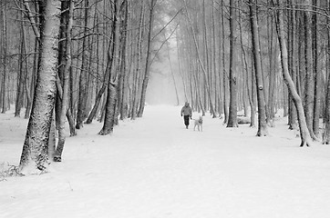 Image showing Woman with a dog on a snowy winter alley