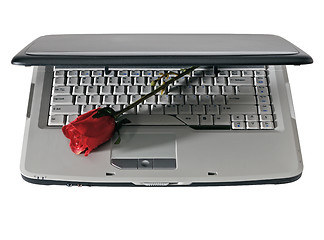 Image showing Laptop and red rose, isolated