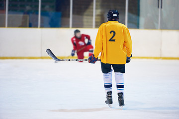 Image showing ice hockey player in action