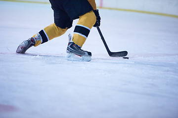 Image showing ice hockey player in action