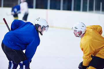 Image showing ice hockey player in action