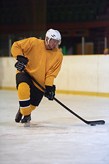 Image showing ice hockey player in action