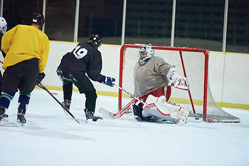 Image showing ice hockey goalkeeper