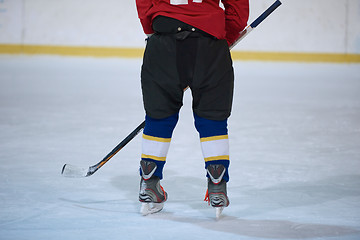 Image showing ice hockey player in action