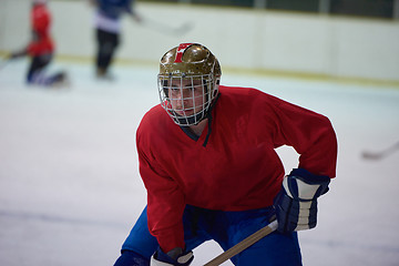 Image showing ice hockey player in action