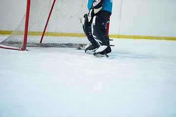 Image showing ice hockey player in action