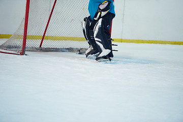 Image showing ice hockey player in action