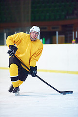 Image showing ice hockey player in action