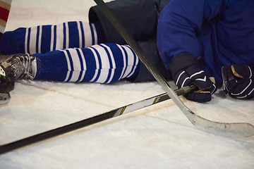 Image showing ice hockey player in action