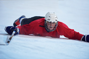 Image showing ice hockey player in action