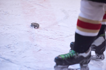 Image showing ice hockey player in action