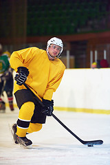 Image showing ice hockey player in action