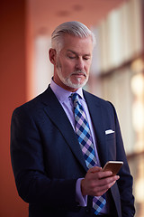 Image showing senior business man talk on mobile phone